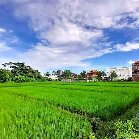 Bali Riana Villa