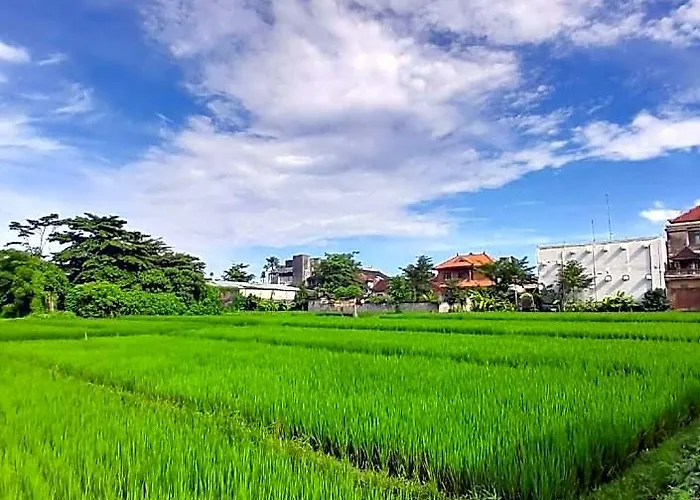 Bali Riana Residence *